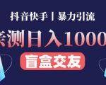 日收益1000+的交友盲盒副业丨有手就行的抖音快手暴力引流-项目资源库