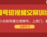 视频号短视频文案训练营：0基础小白如何建立视频号，上热门，能卖货！-项目资源库