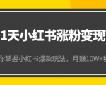 21天小红书涨粉变现营（第4期）：带你掌握小红书爆款玩法，月赚10W+秘密-项目资源库