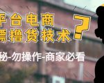 外面收费2980的全平台电商白嫖撸货技术（仅揭秘勿操作-商家防范必看）-项目资源库
