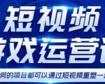 短视频游戏赚钱特训营,0门槛小白也可以操作,日入1000+-项目资源库