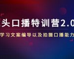 镜头口播特训营2.0版，学习文案编导以及拍摄口播能力（50节课时）-项目资源库