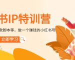 小红书IP特训营：从搭建-制作-爆款脚本等等，做一个赚钱的小红书号-项目资源库