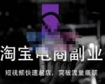 蓝Sir派·淘宝短视频快速起店，替代传统搜索方式，学会做一个不一样的淘宝店-项目资源库