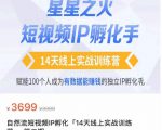 瑶瑶·自然流短视频IP孵化第二期，14天线上实战训练营，赋能100个人成为有数据能赚钱的独立IP孵化手-项目资源库