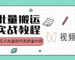 视频号批量搬运实战操作运营赚钱教程，傻瓜式批量制作高质量内容【附视频教程+PPT】-项目资源库