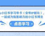 厦九九小红书学习年卡（全年IP孵化），沉浸式学习，一起成为有影响力的小红书博主-项目资源库