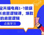 大圣淘宝天猫电商1-7层级盈利增长底层逻辑课，爆款的底层逻辑-项目资源库