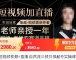 张越·短视频+直播，自然流三频共振起号实操课，​短视频所有流量玩法讲解-项目资源库