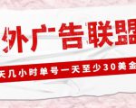 外面收费1980的最新国外LEAD广告联盟搬砖项目，单号一天至少30美金【详细玩法教程】-项目资源库