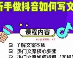 新手做抖音如何写文案，手把手实操如何拆解热门文案-项目资源库