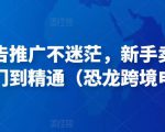 亚马逊广告推广不迷茫,新手卖家产品运营入门到精通(恐龙跨境电商)-项目资源库