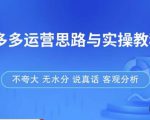 拼多多店铺运营思路与实操教程，快速学会拼多多开店和运营，少踩坑，多盈利-项目资源库