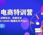 美团电商特训营:美团·店群玩法,无脑铺货月产出6000-15000+精细化月产2w+-项目资源库