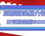 豆瓣精准暴力引流,日引精准粉500+【12课时】-项目资源库