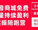 抖音商城搜索持续盈利陪跑成长营,抖音商城搜索从0-1、从1到10的全面解决方案-项目资源库
