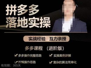 拼多多实战篇·落地实操:多多操作完整思路+实操案例讲解+拆解操作思路+复杂的算法简单化-项目资源库