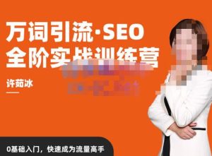 许茹冰·万词引流-SEO全阶实战训练营,0基础入门,快速成为流量高手-项目资源库