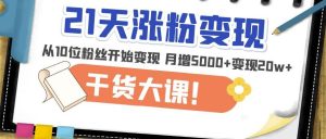 21天精准涨粉变现干货大课:从10位粉丝开始变现月增5000+变现20w+-项目资源库