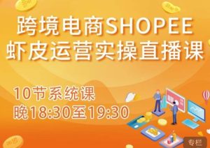 跨境电商Shopee虾皮运营实操直播课，从零开始学，入门到精通（10节系统课）-项目资源库