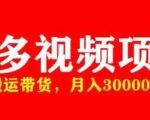 多多带货视频快速50爆款拿带货资格,搬运带货,月入30000【全套脚本+详细玩法】-项目资源库
