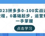2023拼多多0-100实战运营教程,0基础起步,运营知识一手掌握-项目资源库