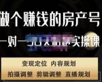 刘广标·同城房产号线上陪跑课，拍摄、剪辑、写文案、直播，做一个具有潜力价值的房产号-项目资源库