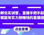 直播孵化实训营,直播手把手起号,赋能有实力想赚钱的直播团队-项目资源库
