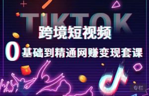 跨境短视频TIKTOK 0基础到精通网赚变现套课,跨境短视频独立站带货变现技巧-项目资源库