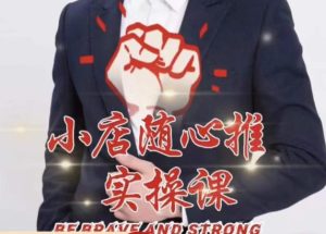 随心推线上课，小店随心推的投放逻辑，投放技巧，快速打标签-项目资源库