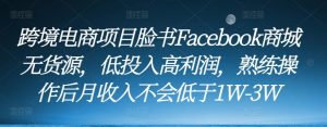 跨境电商项目脸书Facebook商城无货源,低投入高利润,熟练操作后月收入不会低于1W-3W-项目资源库