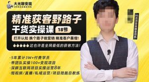 杨光·精准获客野路子,黑科技快速获取精准客户,这也许是全网最低的获客方法了-项目资源库