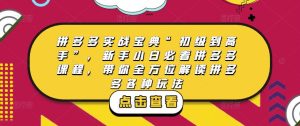 拼多多实战宝典“初级到高手”,新手小白必看拼多多课程,带你全方位解读拼多多各种玩法-项目资源库