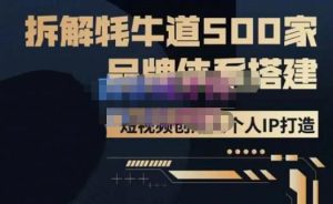 牛牛·500家餐饮品牌搭建&短视频深度解析,拆解牦牛道500家品牌体系搭建-项目资源库