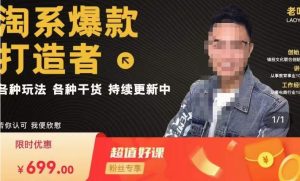 锋投老叶全店动销,淘系干货汇总,各种玩法,淘系爆款打造者-项目资源库