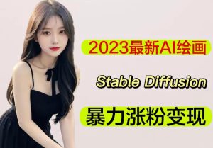 2023最新AI绘画Stable Diffusion,原创不用愁日赚1000+【软件+教程】-项目资源库