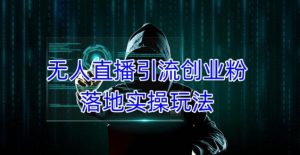 外面收费3980的无人直播引流创业粉落地实操玩法,单日引100+精准创业粉-项目资源库