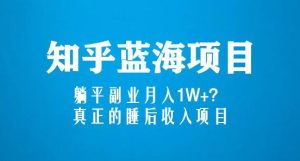 知乎蓝海玩法,躺平副业月入1W+,真正的睡后收入项目(6节视频课)-项目资源库