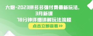 大炮·2023拼多多强付费最新玩法，3月新课​78分钟详细讲解玩法流程-项目资源库