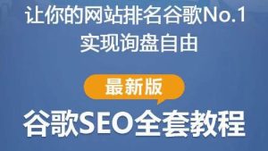 谷歌SEO实战教程:如何让你的网站在谷歌排名第一,内容从入门到高阶,适合个人及团队-项目资源库