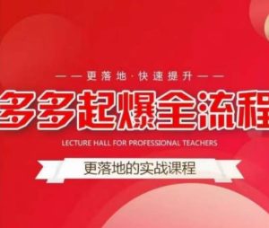 互力-多多新品打爆全流程，拼多多14天拉搜索自然流量，更落地·快速提升-项目资源库