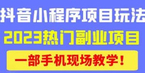 抖音小程序9.0新技巧,2023热门副业项目,动动手指轻松变现-项目资源库