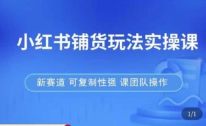 小红书铺货玩法实操课,流量大,竞争小,非常好做,新赛道,可复制性强,可团队操作-项目资源库
