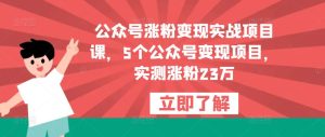公众号涨粉变现实战项目课，5个公众号变现项目，实测涨粉23万-项目资源库