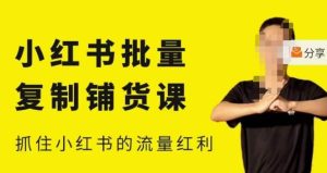 张宾·小红书批量复制铺货课,小红书0-1快速起号变现玩法,抓住小红书的流量红利(更新2023年3月)-项目资源库