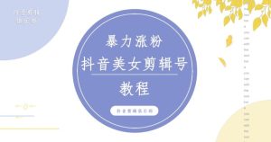 抖音快手暴力涨粉美女混剪视频教程，百分百过原创图片教程！附带违规申诉方法-项目资源库
