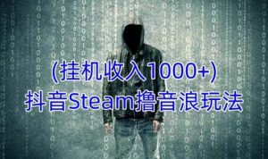 抖音Steam撸音浪玩法,挂机一天收入1000+不露脸 不说话 不封号 社恐人群福音-项目资源库