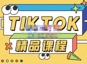 电商孵化中心·TikTok精品课程,教你玩转海外抖音,低成本创业,带您从0开始玩转TikTok-项目资源库