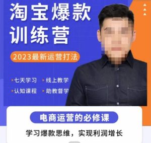 爱上黄昏·淘宝爆款训练营，2023最新运营打法，学习爆款思维，实现利润增长-项目资源库