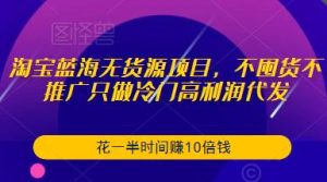 淘宝蓝海无货源项目,不囤货不推广只做冷门高利润代发,花一半时间赚10倍钱-项目资源库